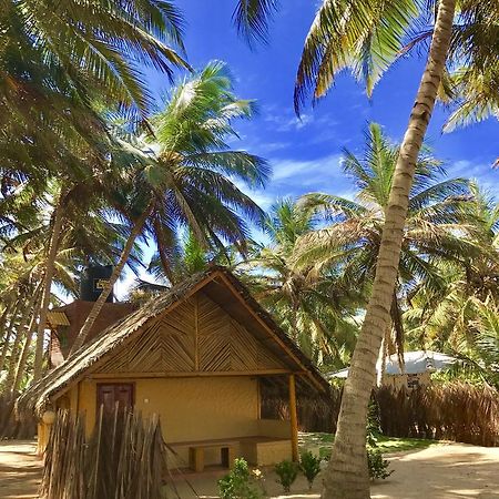 Seahorse Beach Resort Kalpitiya Extérieur photo