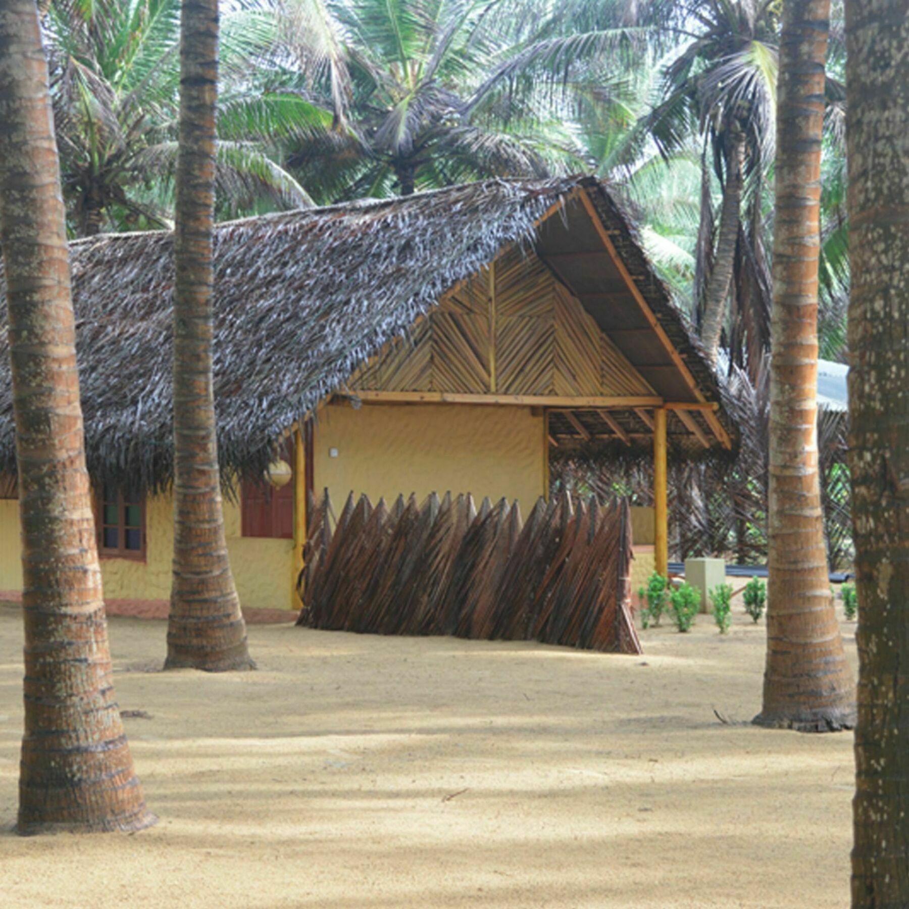 Seahorse Beach Resort Kalpitiya Extérieur photo